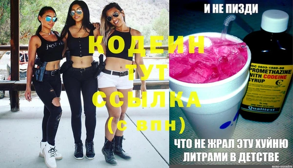 прущая мука Вяземский