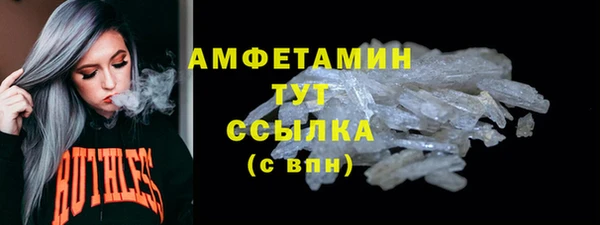прущая мука Вяземский