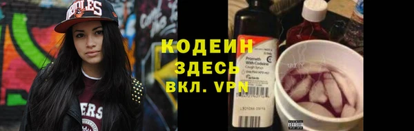 прущая мука Вяземский