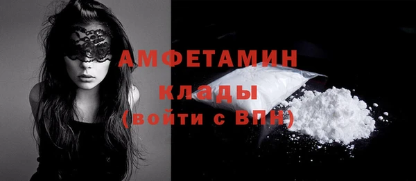 прущая мука Вяземский