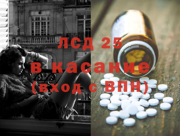 прущая мука Вяземский
