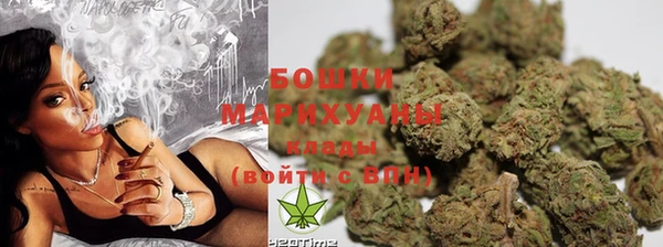 прущая мука Вяземский